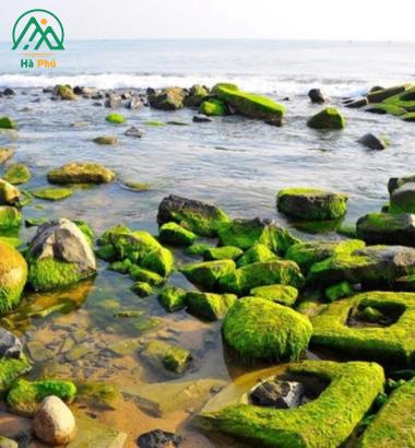 Đẹp mê hồn bãi đá rêu xanh Xóm Rớ - Tuy Hòa